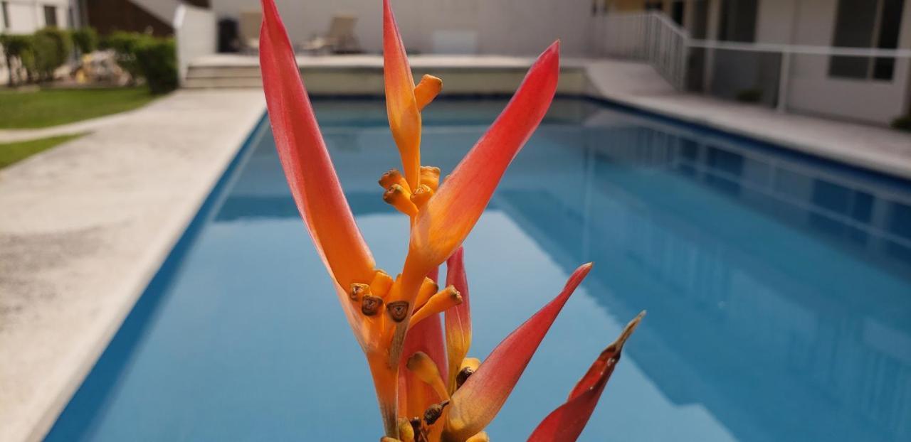 Aohom Santuario Hotel & Spa 休特佩克 外观 照片
